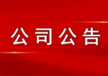 關(guān)于對擬認定核心員工進(jìn)行公示并征求意見(jiàn)的公告